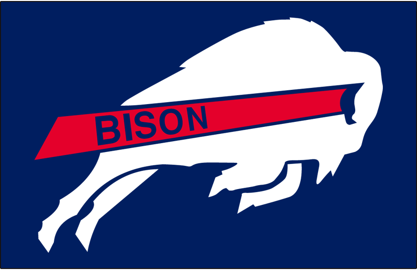Howard Bison 2007-2009 Helmet Logo diy iron on heat transfer